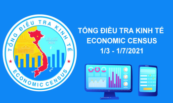 Tổ chức Tổng điều tra kinh tế năm 2021 Thành phố Hồ Chí Minh