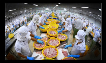 Nói và làm: Quá nửa số DN đã ra đi