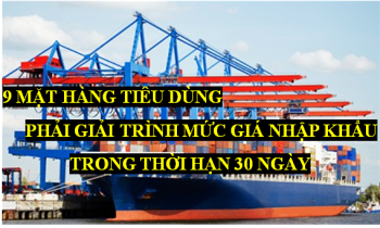 9 mặt hàng phải giải trình mức giá nhập khẩu trong thời hạn 30 ngày