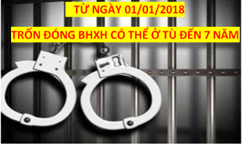 Năm 2018, trốn đóng BHXH cho người lao động có thể ở tù đến 07 năm