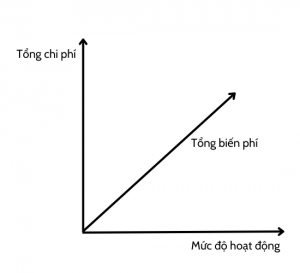 Chi phí biến đổi