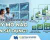 cfo